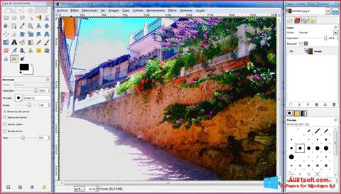 Screenshot GIMP per Windows 8.1