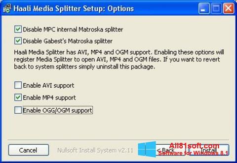 Screenshot Haali Media Splitter per Windows 8.1