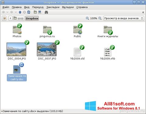 Screenshot Dropbox per Windows 8.1