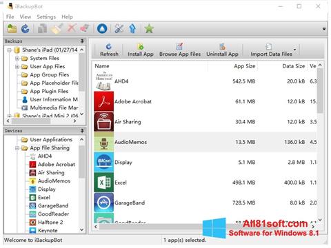 Screenshot iBackupBot per Windows 8.1