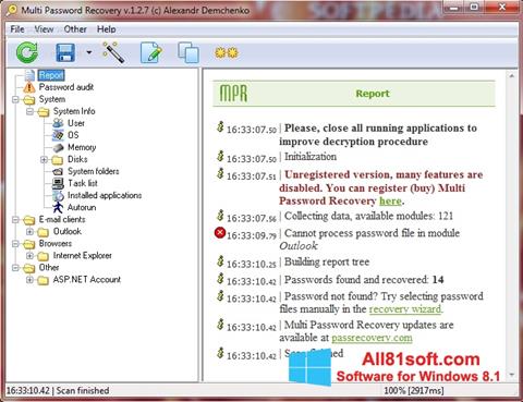 Screenshot Multi Password Recovery per Windows 8.1