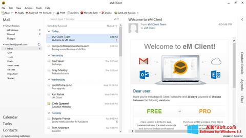 Screenshot eM Client per Windows 8.1