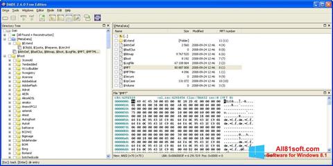 Screenshot DMDE per Windows 8.1