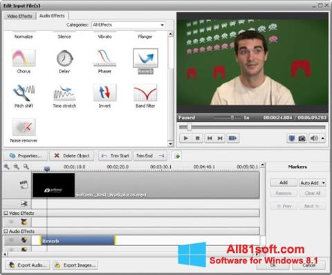 Screenshot AVS Video Converter per Windows 8.1