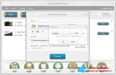 Screenshot Freemake Video Converter per Windows 8.1