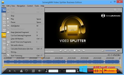 Screenshot SolveigMM Video Splitter per Windows 8.1