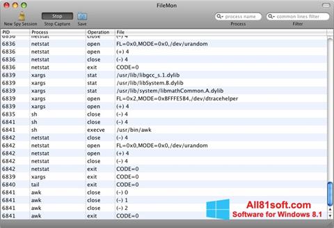 Screenshot FileMon per Windows 8.1