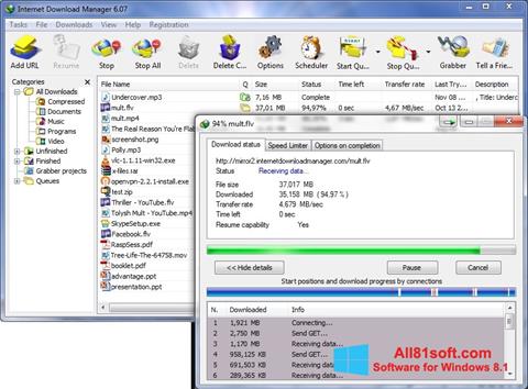 Screenshot Internet Download Manager per Windows 8.1
