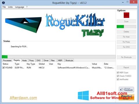 Screenshot RogueKiller per Windows 8.1