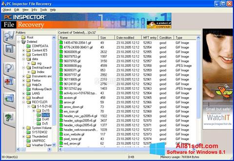 Screenshot PC Inspector File Recovery per Windows 8.1