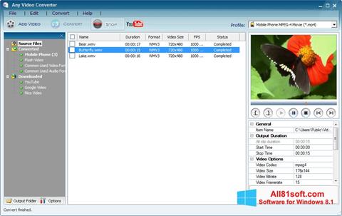 Screenshot Any Video Converter per Windows 8.1