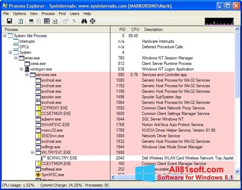 Screenshot Process Explorer per Windows 8.1