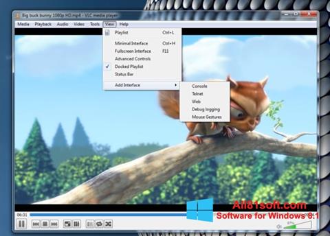 Screenshot VLC Media Player per Windows 8.1