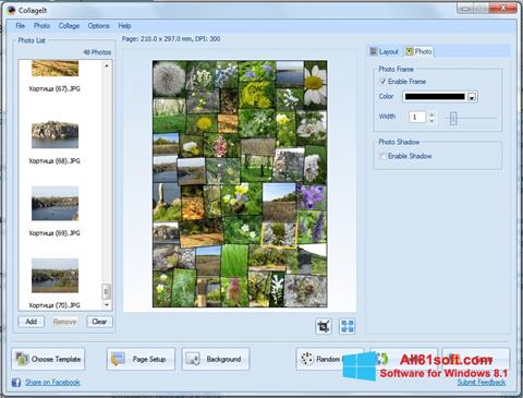 Screenshot CollageIt per Windows 8.1