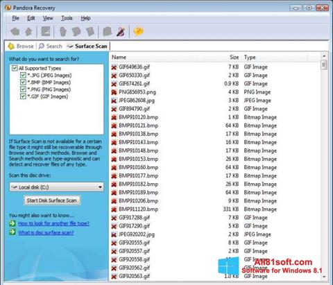Screenshot Pandora Recovery per Windows 8.1
