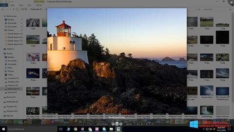 Screenshot Picasa Photo Viewer per Windows 8.1