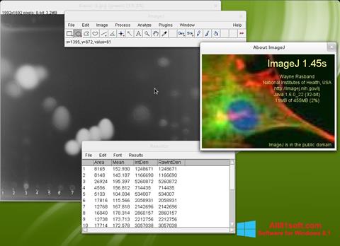 Screenshot ImageJ per Windows 8.1