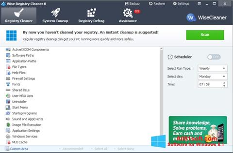 Screenshot Wise Registry Cleaner per Windows 8.1