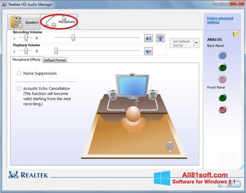 Screenshot Realtek Audio Driver per Windows 8.1