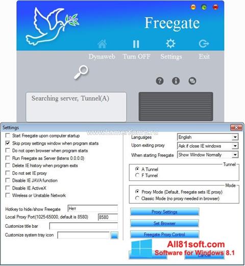 Screenshot Freegate per Windows 8.1