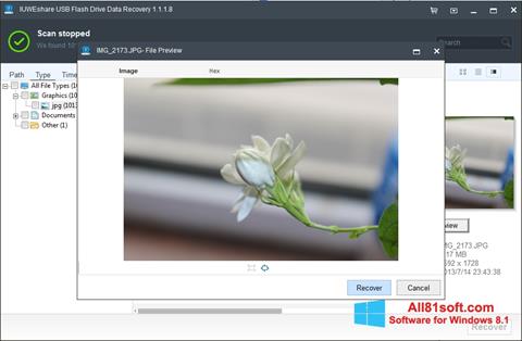 Screenshot USB Flash Drive Recovery per Windows 8.1