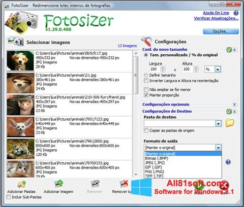 Screenshot Fotosizer per Windows 8.1